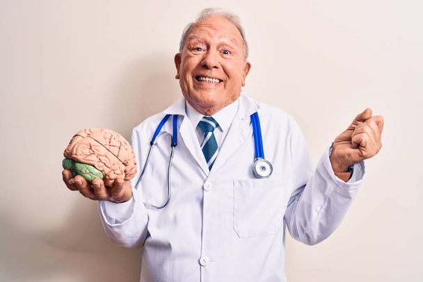 Senior grey-haired doctor man wearing stethoscope asking for care memory holding brain screaming proud, celebrating victory and success very excited with raised arm - Photo, Image