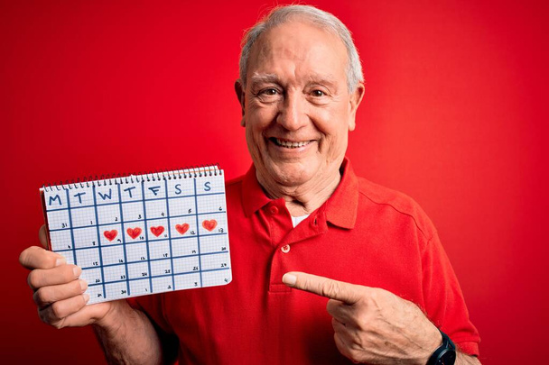Senior hombre de pelo gris con calendario de fecha especial sobre fondo rojo muy feliz señalando con la mano y el dedo
 - Foto, imagen
