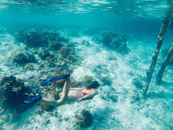 Travel woman diving into crystal blue ocean with beautiful coral reef for exploring tropical underwater, girl in red bikini enjoying snorkeling getaway for discovering ocean in swim fins - Fotografie, Obrázek