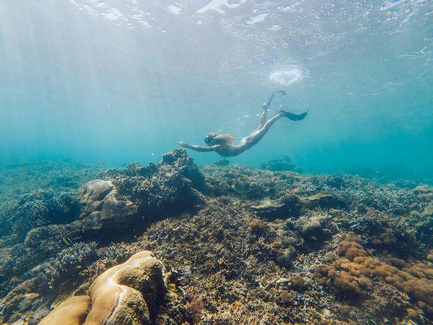Female swimmer in flippers and mask exploring underwater depth enjoying extreme sport hobby in tropical Thailand, fit woman recreating in sea water admiring beauty of ocean nature environment - Φωτογραφία, εικόνα