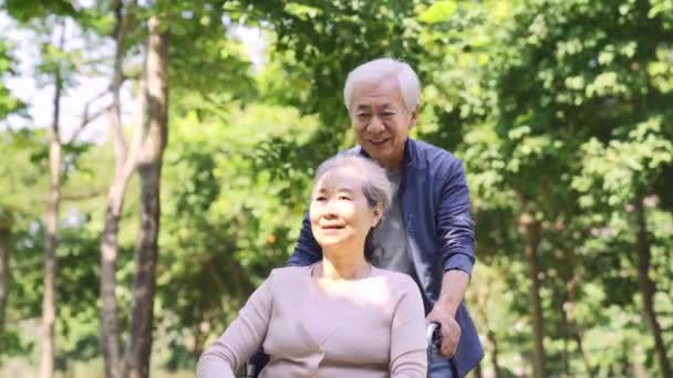 ευτυχισμένο ζευγάρι ηλικιωμένων ασιατική χαλάρωση σε εξωτερικούς χώρους στο πάρκο - Πλάνα, βίντεο