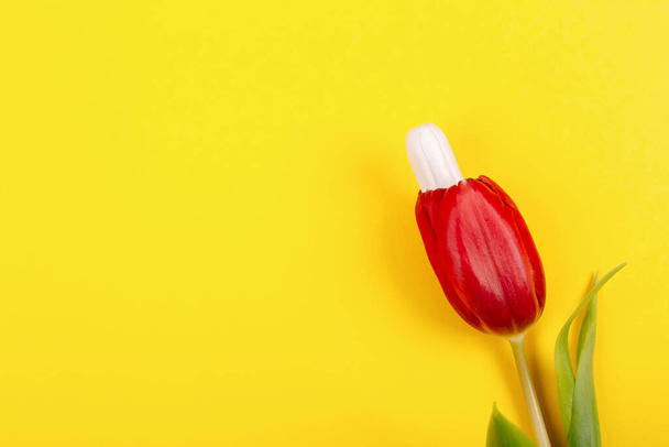 Γυναικείο υγειονομικό ταμπόν για ειδικές ημέρες με ένα κόκκινο λουλούδι τουλίπας σε κίτρινο φόντο με θέση για κείμενο. Γυναικεία μυστικά. Διάταξη προβολής πάνω. - Φωτογραφία, εικόνα