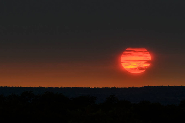 African sunrise over savanna, Kruger national park, South Africa. - Photo, Image