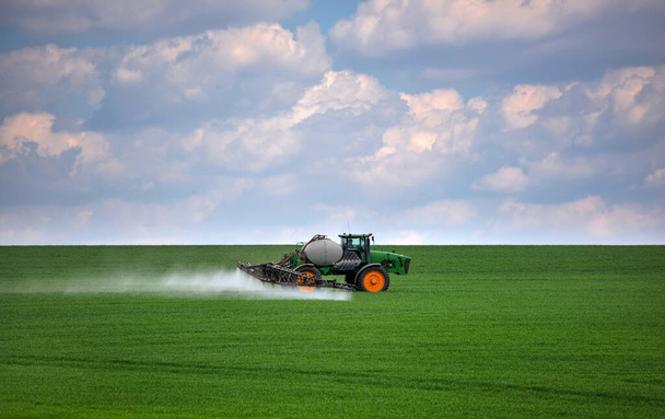 Traktori ruiskuttaa vihreää vehnäpeltoa. Maataloustyö
 - Valokuva, kuva