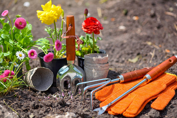 Εργαλεία κηπουρικής και ανοιξιάτικα λουλούδια στον κήπο. Έννοια κηπουρικής. - Φωτογραφία, εικόνα