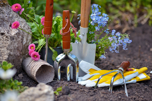 Bahçede bahçe aletleri ve bahar çiçekleri. Bahçe konsepti. - Fotoğraf, Görsel