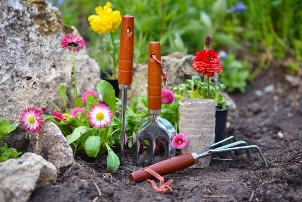 Ferramentas de jardinagem e flores de primavera no jardim. Conceito de jardinagem. - Foto, Imagem