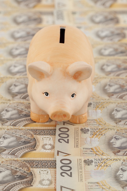 piggy with money - Foto, Bild