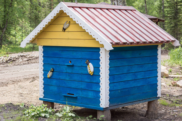 Wooden houses for breeding bees in apiary in mountains - Photo, Image
