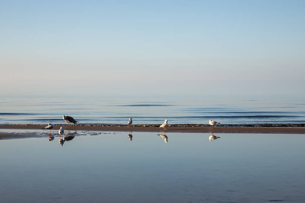Hátborzongató. Esti nyugalom az Azovi-tengeren. Fényes utófény. - Fotó, kép