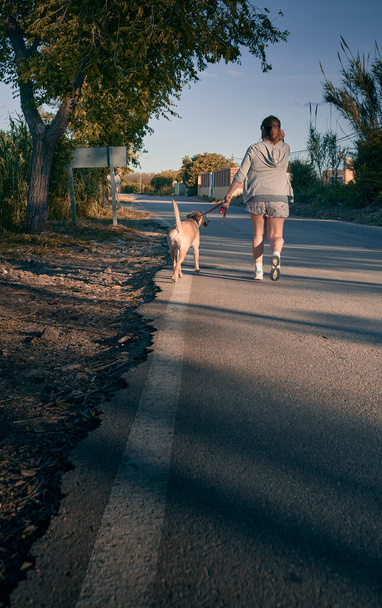 Mädchen von hinten gesehen, wie es eine Straße hinuntergeht und einen Hund an der Leine trägt - Foto, Bild