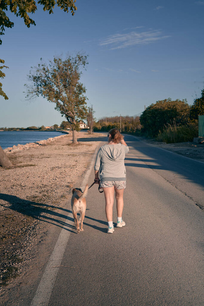 Zurück Ansicht Frau und Golden Retriever Hund spazieren zusammen im sonnigen Frühlingstag - Foto, Bild