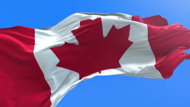 Canada flag - 3D realistic waving flag background - Footage, Video