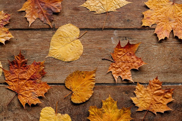 Papel de parede para 01 de setembro. Folhas de outono em fundo de madeira com espaço de cópia
. - Foto, Imagem