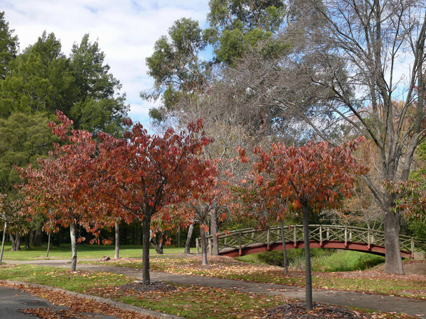 A view of a park in the town of Bowral in New South Wales, Australia - Photo, Image