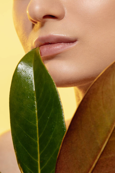 Close-up van mooi vrouwelijk gezicht met groene bladeren over witte achtergrond. Cosmetica en make-up, natuurlijke en eco-behandeling, huidverzorging. - Foto, afbeelding