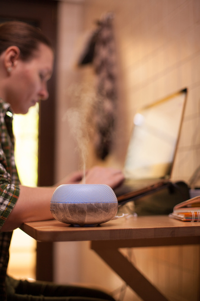 İş kadını covid-19 sırasında evde dizüstü bilgisayar kullanıyor - Fotoğraf, Görsel
