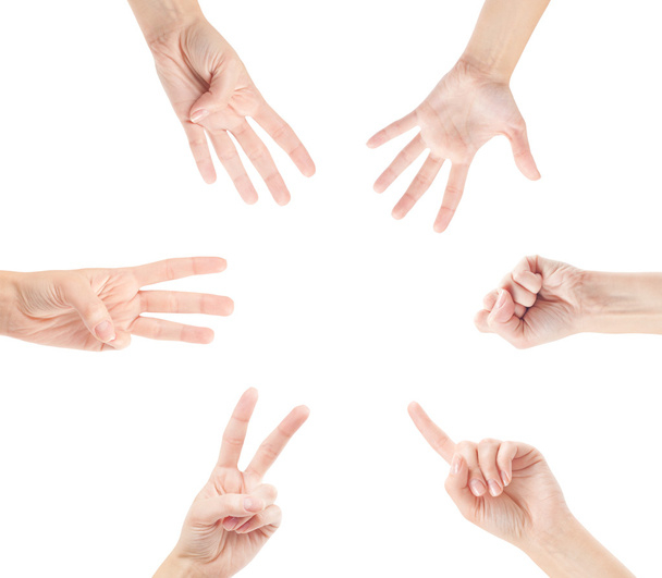 Počítání žena ruce (0 až 5) izolované na bílém pozadí - Fotografie, Obrázek