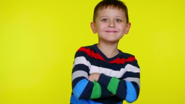 Cheerful little child boy turns to the camera, crosses arms over chest and smile - Footage, Video