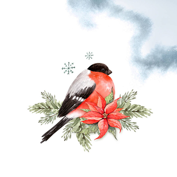 bullfinch bird on christmas tree branches. watercolor illustration. Christmas wreath - Photo, Image