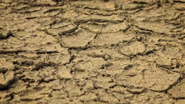 4k krajina popraskané a Arid Pozemek suché půdy bez vody-Dan - Záběry, video