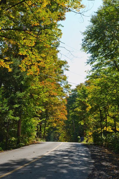 Autumn colors near Ottawa river valley in sunny day - Φωτογραφία, εικόνα