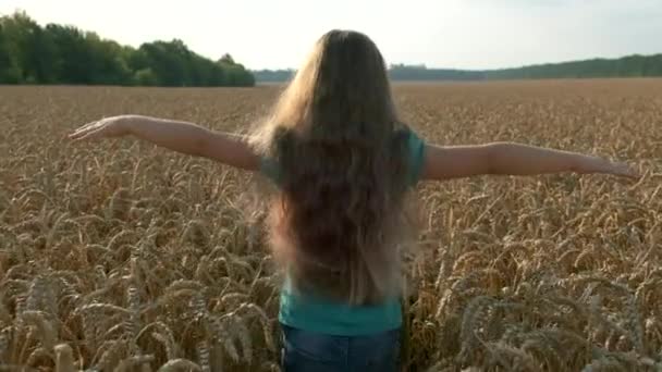 Mała dziewczynka biegnie przez pole pszenicy o zachodzie słońca. Zwolnij trochę. Koncepcja szczęśliwej rodziny. Sny z dzieciństwa - Materiał filmowy, wideo