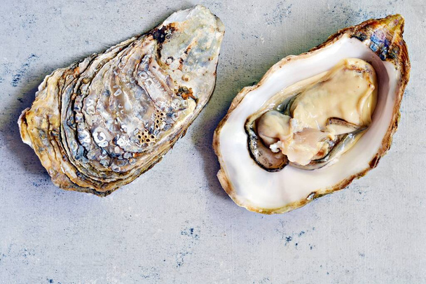 Mediterranean oysters on a light background. Sea delicacy. - Photo, Image