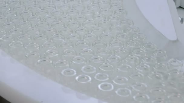 Farmaseuttinen tuotantolinja - kuljetushihna tyhjien lasipullojen kanssa - Materiaali, video