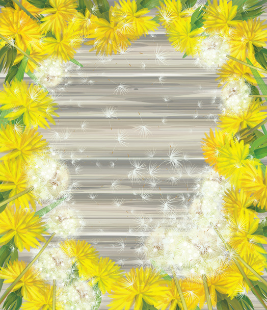 διάνυσμα floral πλαίσιο με πικραλίδες σε ξύλινα φόντο. - Διάνυσμα, εικόνα
