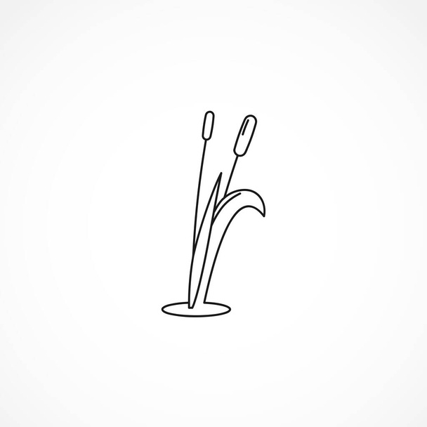 reed icon. river or lake reed line icon. reed isolated line icon - Vector, Image