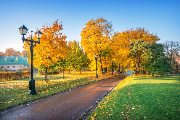Rays of the sun through golden multi-colored autumn trees in Tsaritsyno park in Moscow on an early sunny morning - Foto, imagen