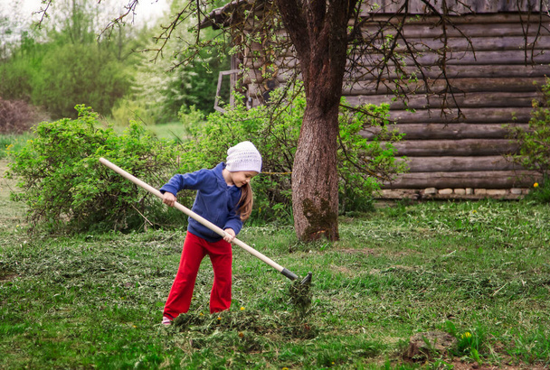 little girl in the country with a rake in summer - 写真・画像
