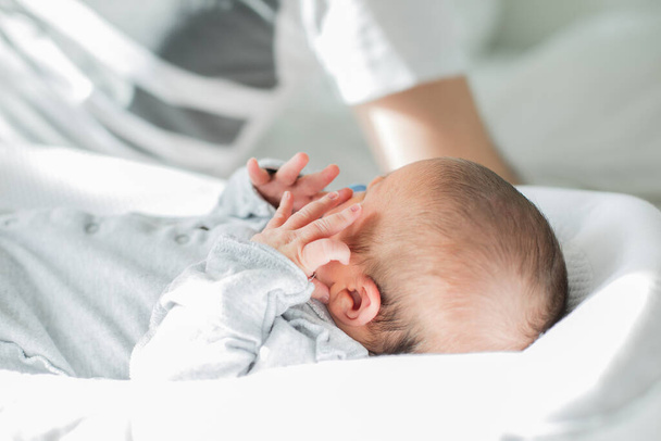 Ένα νεογέννητο μωρό σε κουκούλι στο κρεβάτι. Τρόπος ζωής, έννοια της οικογενειακής ζωής. Χαριτωμένο νεογέννητο παιδί κοιμάται ήσυχα - Φωτογραφία, εικόνα