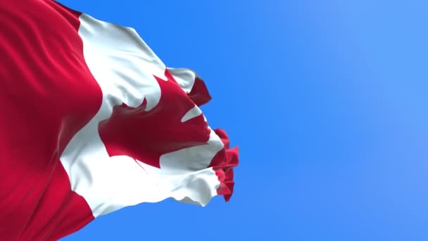 Флаг Канады - 3D реалистичное размахивание флагом фон - Кадры, видео