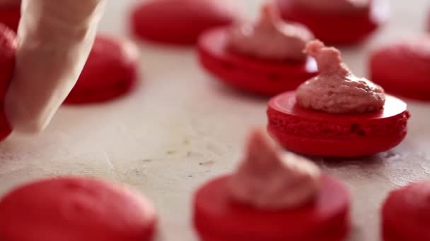 Making Red Macaroons. Close up shot of connecting two halves of macaroons with strawberry cream - Πλάνα, βίντεο