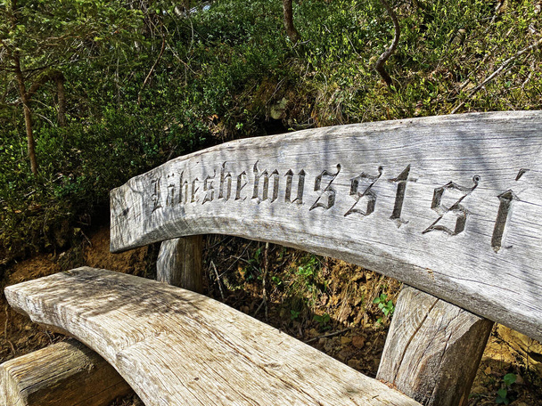Leśne drewniane ławki do odpoczynku wzdłuż szlaków turystycznych na masywie górskim Pilatus, Alpnach - Kanton Obwalden, Szwajcaria (Kanton Obwalden, Schweiz) - Zdjęcie, obraz