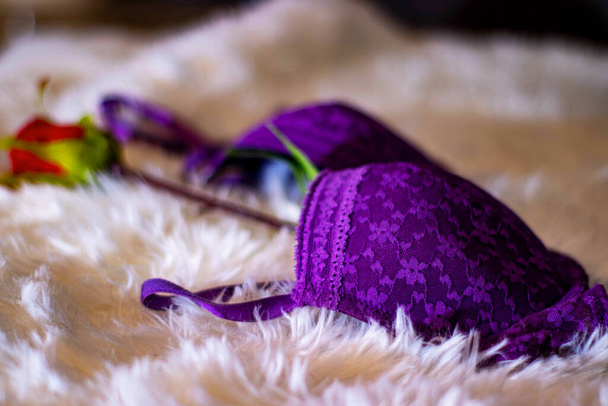 bra put on the floor on a pile carpet with a rose - Photo, Image