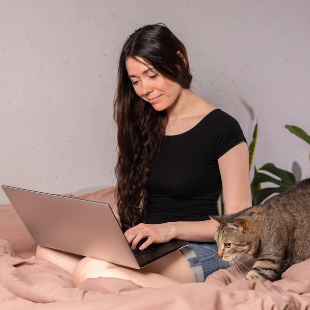 Business woman working from home with cat Concept home quarantine, prevention, Coronavirus outbreak situation. - Foto, imagen