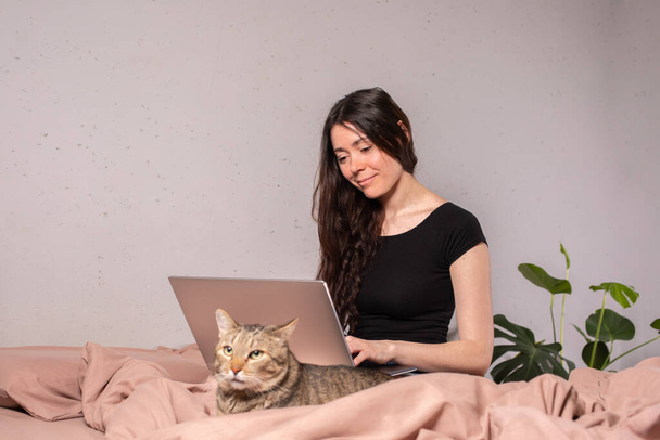 Business woman working from home with cat Concept home quarantine, prevention COVID-19, Coronavirus outbreak situation. - Foto, imagen