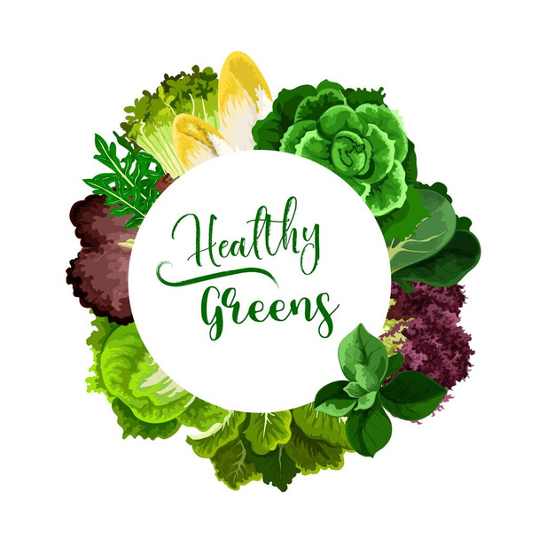 Salatalar ve sebzeler vektör çerçevesi etrafında. Cress salatası, Belçika hindiba ve hindiba, bok choy veya pak choy, chard ve rogula, ıspanak ve doru, buzdağı marulu ve lahana. Sağlıklı yeşillik - Vektör, Görsel