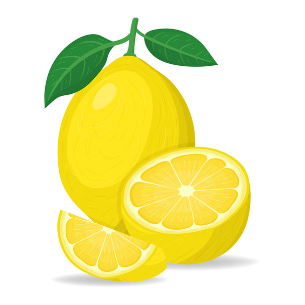 Fresh bright exotic whole, half and cut slice lemon fruit isolated on white background. Summer fruits for healthy lifestyle. Organic fruit. Cartoon style. Vector illustration for any design. - Vector, Image
