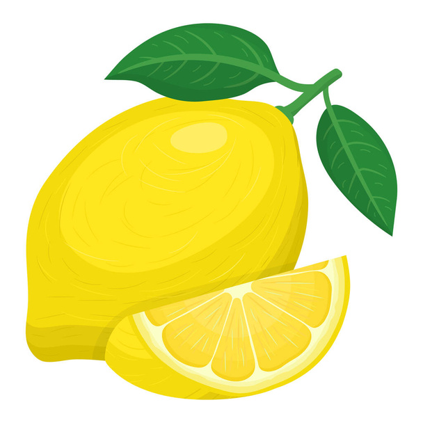 Fresco todo exótico brilhante e corte a fruta de limão de fatia isolada no fundo branco. Frutos de verão para um estilo de vida saudável. Fruta orgânica. Estilo dos desenhos animados. Ilustração vetorial para qualquer projeto
. - Vetor, Imagem
