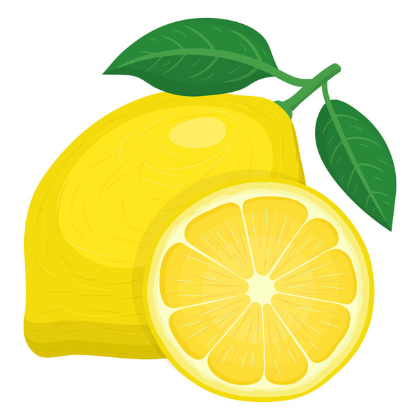 Fresh bright exotic whole and half lemon fruit isolated on white background. Summer fruits for healthy lifestyle. Organic fruit. Cartoon style. Vector illustration for any design. - Vector, Image