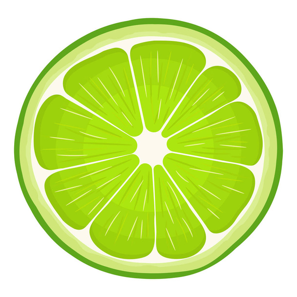 Fresh bright exotic whole lime fruit isolated on white background. Summer fruits for healthy lifestyle. Organic fruit. Cartoon style. Vector illustration for any design. - Vector, Image