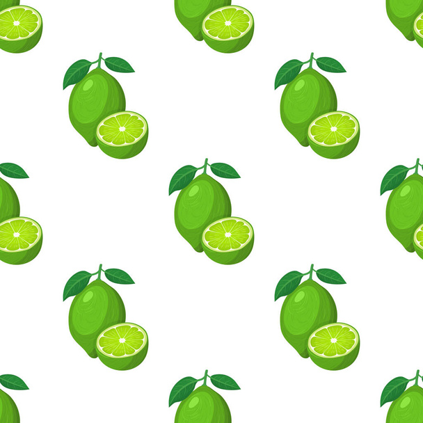 Seamless pattern with fresh bright exotic whole and half lime fruit on white background. Summer fruits for healthy lifestyle. Organic fruit. Cartoon style. Vector illustration for any design. - Vector, Image