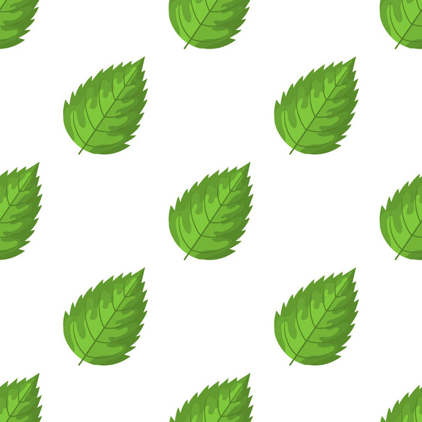 Naadloos patroon met decoratieve groene framboos bladeren op witte achtergrond. Vector illustratie voor elk ontwerp. - Vector, afbeelding