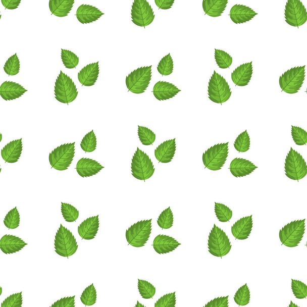 Płynny wzór z dekoracyjnymi zielonymi liśćmi malin na białym tle. Ilustracja wektora dla każdego projektu. - Wektor, obraz