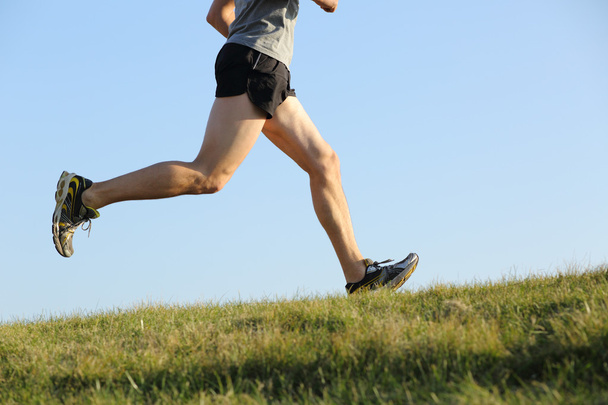 Vista lateral de las piernas de un corredor corriendo sobre la hierba
 - Foto, Imagen