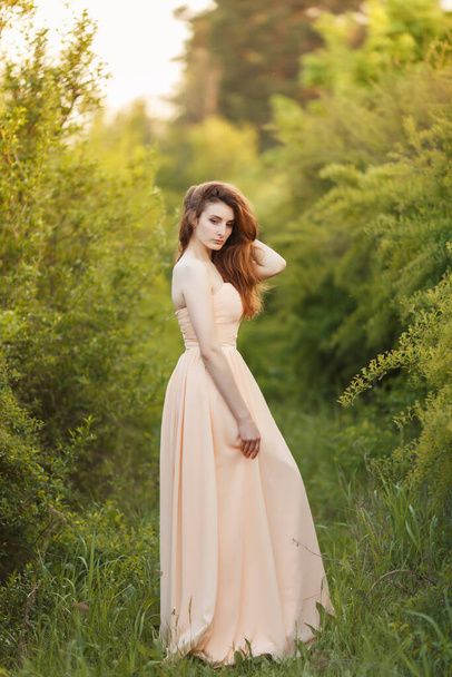 Fine Art Portrait of romantic female in dress - Foto, Bild